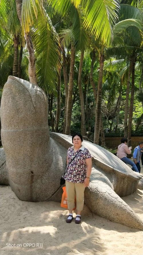 三亚到茂名市多少公里_2
