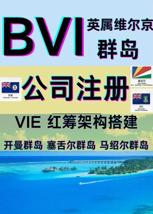 bvi公司如何查册_2