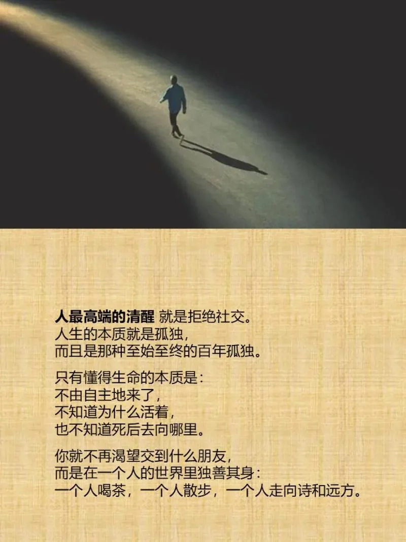 人生来就是孤独的出处_1