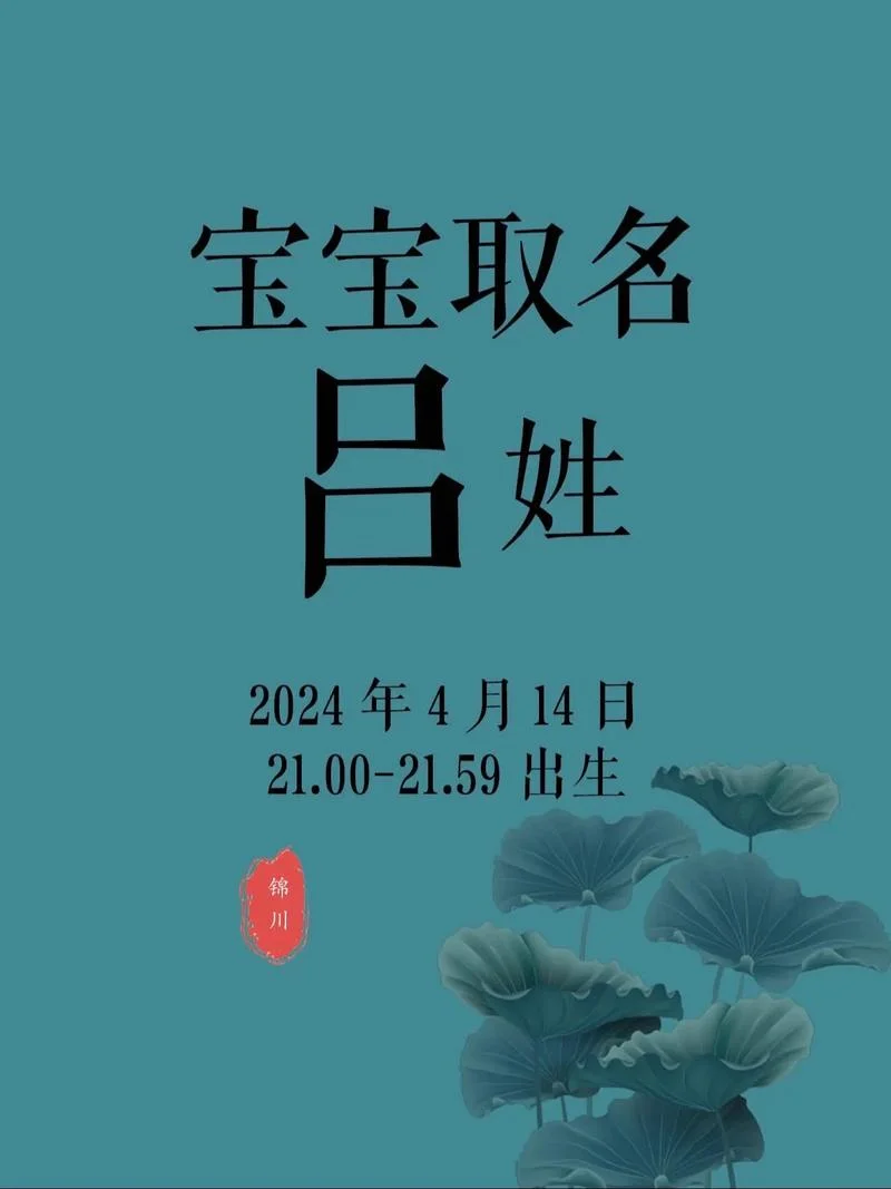 姓吕男宝起名-吕男宝姓氏起名