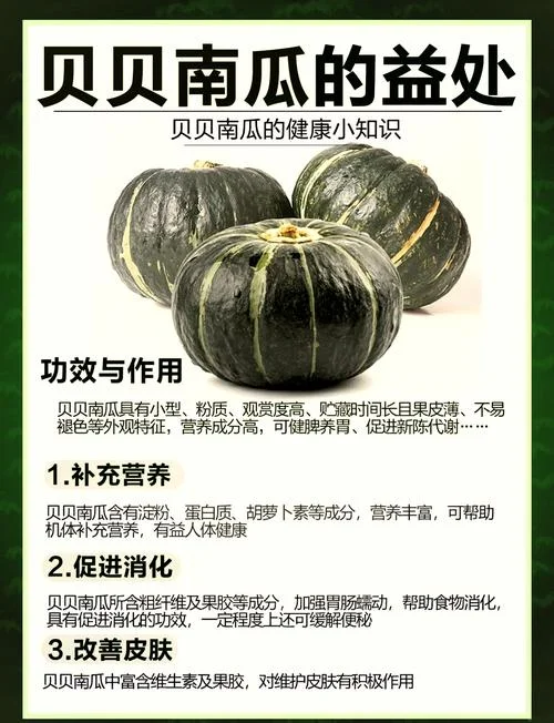 南瓜种植时间及要求_1