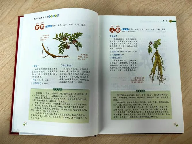 本草纲目的作者是谁_2