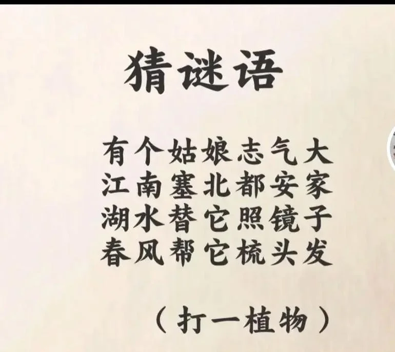 春天一日游打一字谜_2