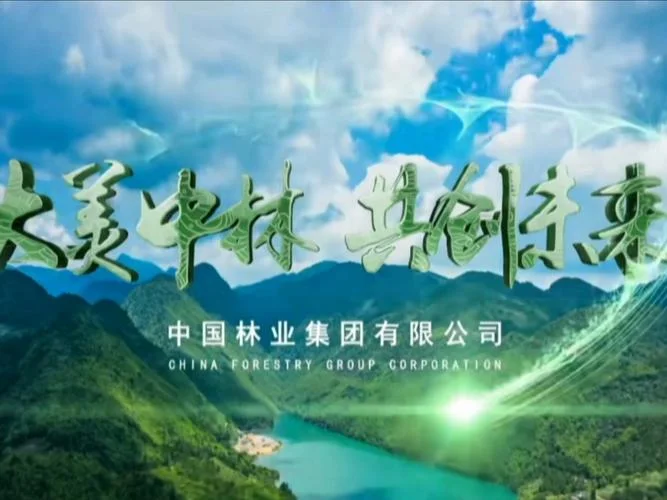 给公司起名关于林业的-林业公司命名建议