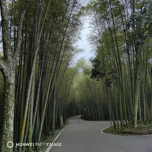 潜山一日游必去景点-潜山一日游必去景点