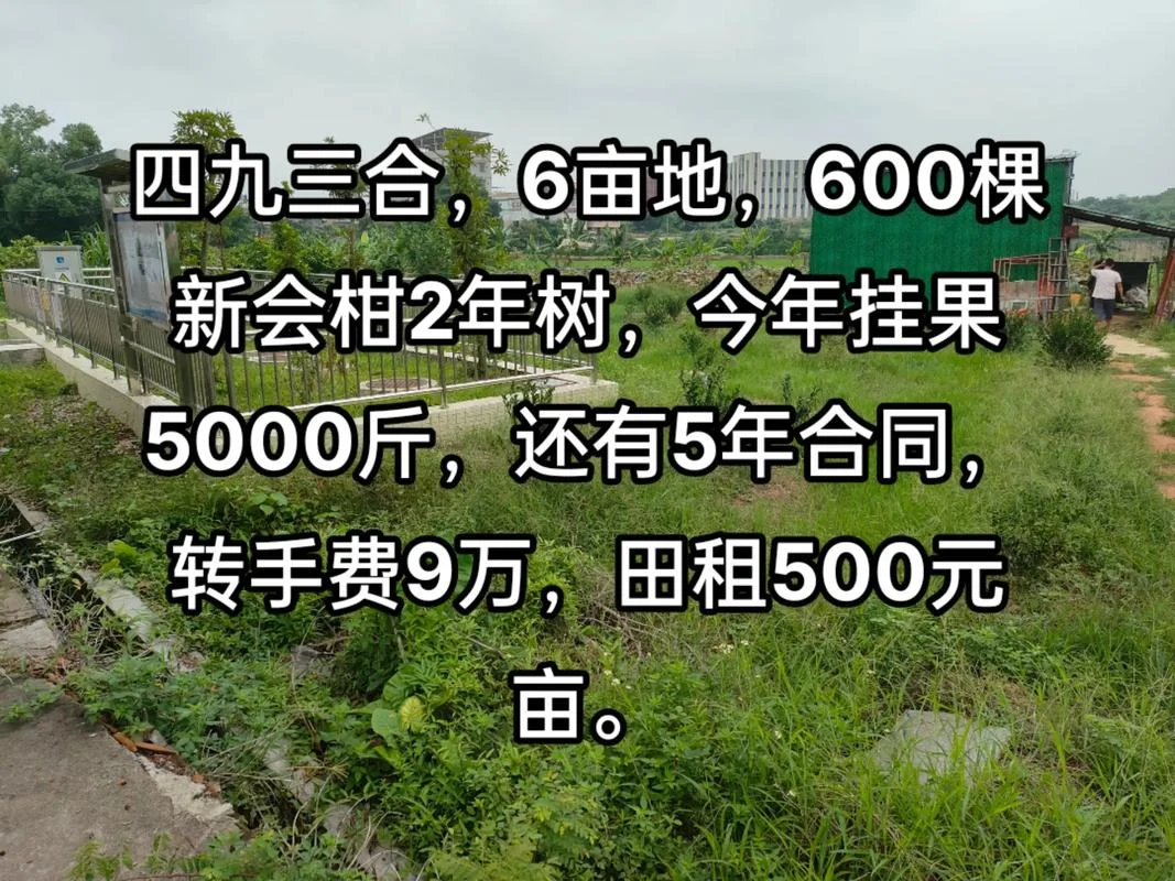 33公顷等于多少亩_1