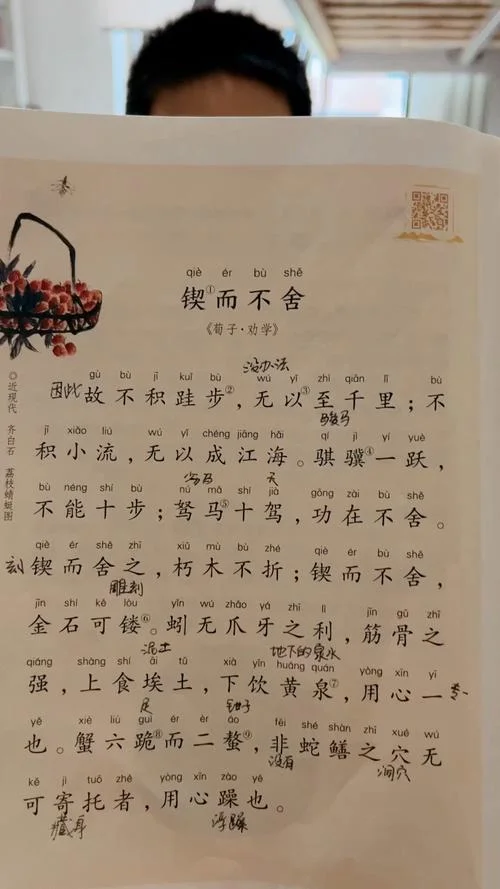锲而不舍下一句谚语_2