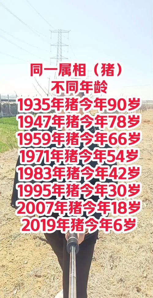 女属猪几月份最好-女属猪最佳月份