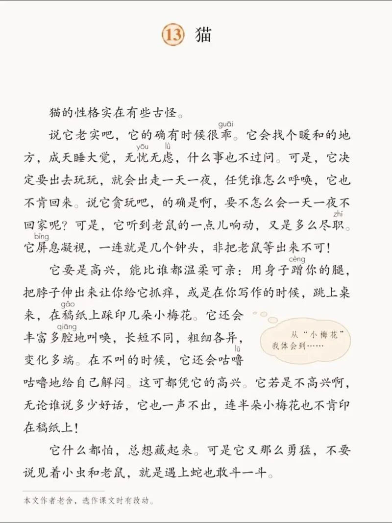 阿笨阿笨猫的作者是谁_1