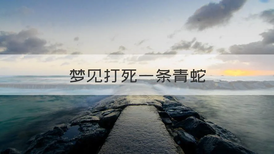 梦见青蛇被斩断_1