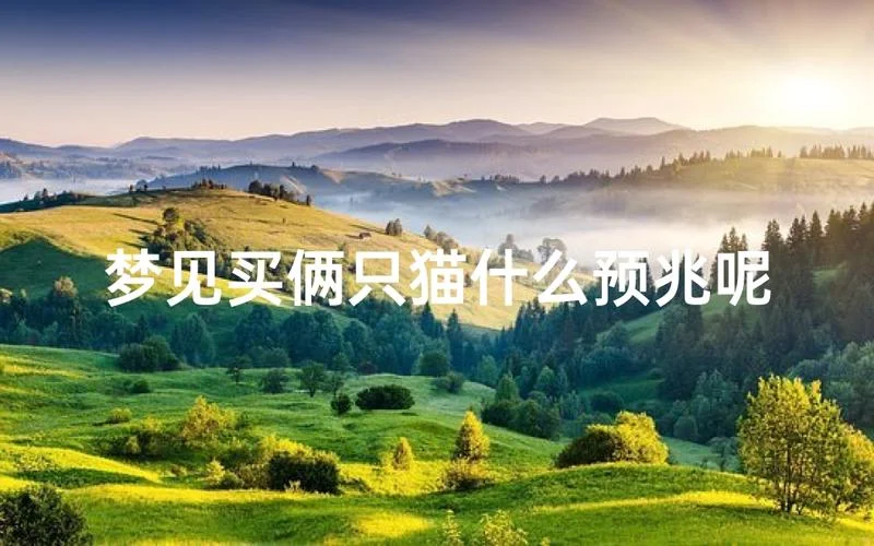 梦见了两只猫-梦见两猫
