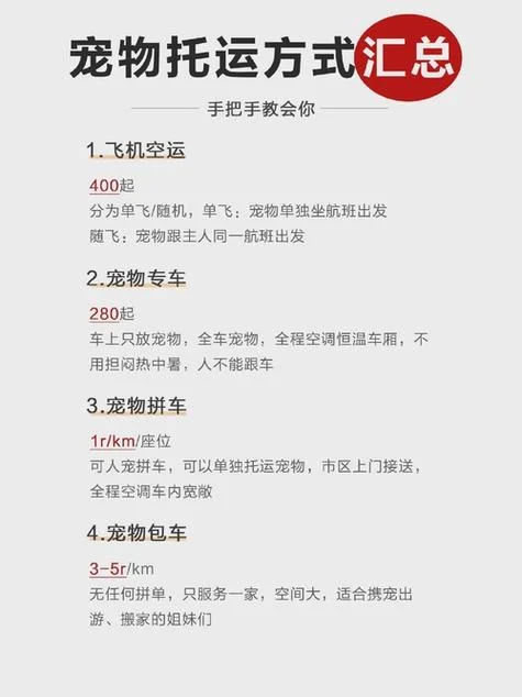 怎么做宠物托运服务-宠物托运服务怎么做