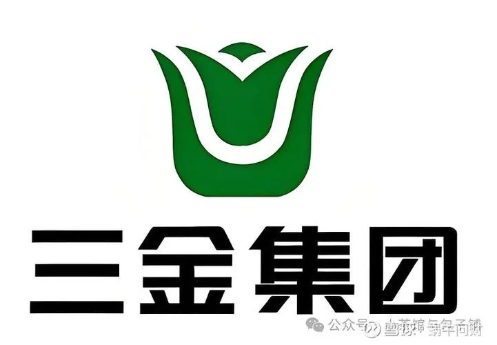 什么叫三资公司-三资公司定义
