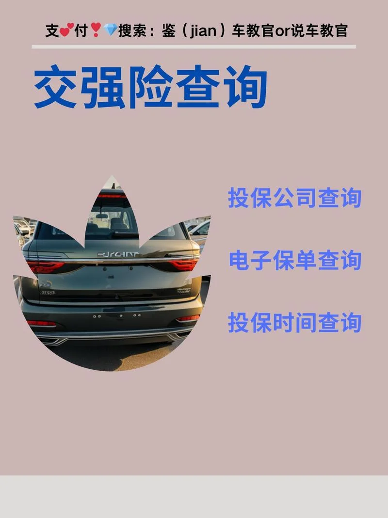 车的交强险保单在哪里查-查车险交强险保单