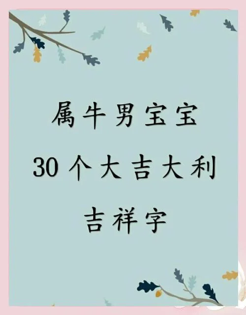 男孩属牛起名-男孩属牛起名
