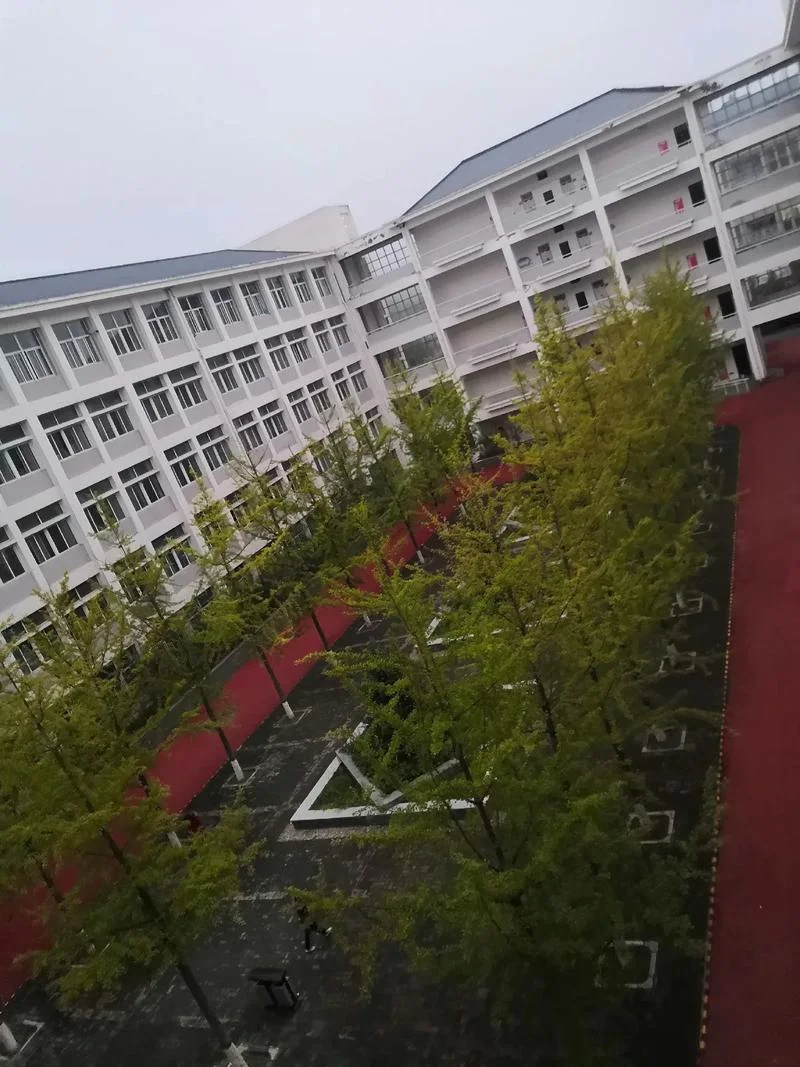 延安中学官网_2