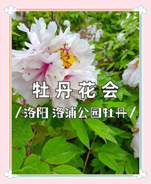 洛浦公园多少公里_2