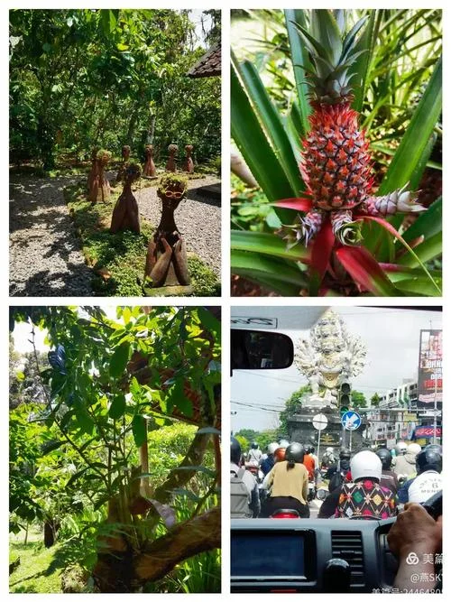 巴厘岛十日游_1