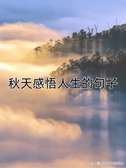 落叶人生感悟精辟句子_2