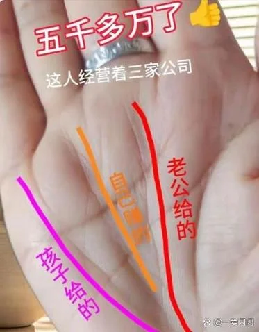 成绩好的手相-高分手相精选