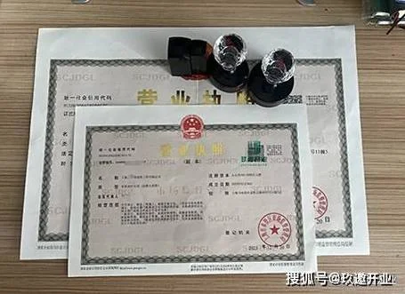 公司营业执照在哪里查_2