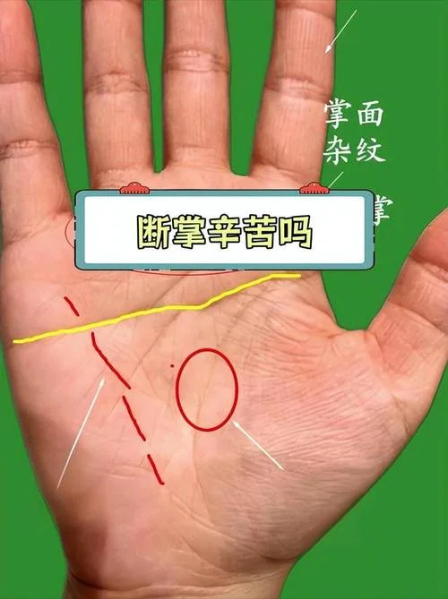 男人手相断掌纹_2
