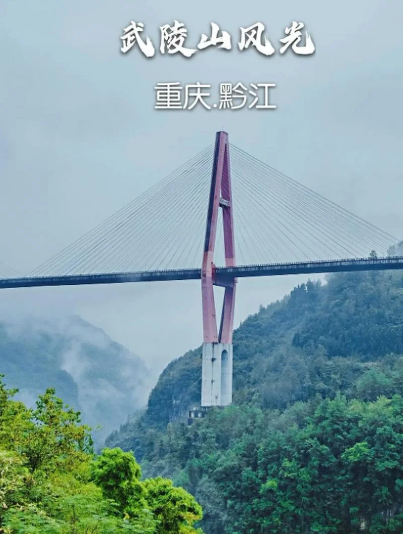 重庆到彭水多少公里路_2