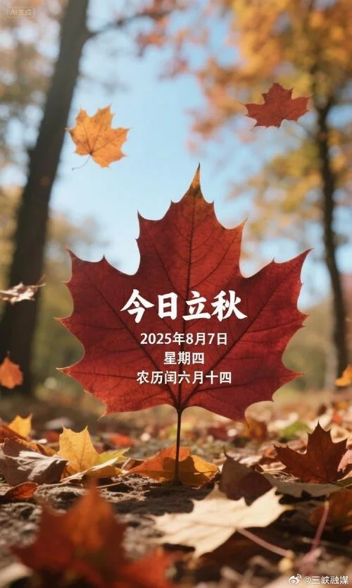 今年几月几日立秋_2