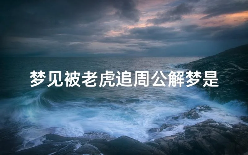 做梦有人追我什么意思_1