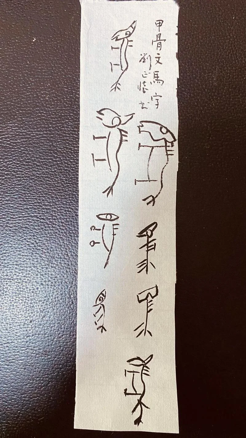 马字的演变过程和历史-马字演变历史