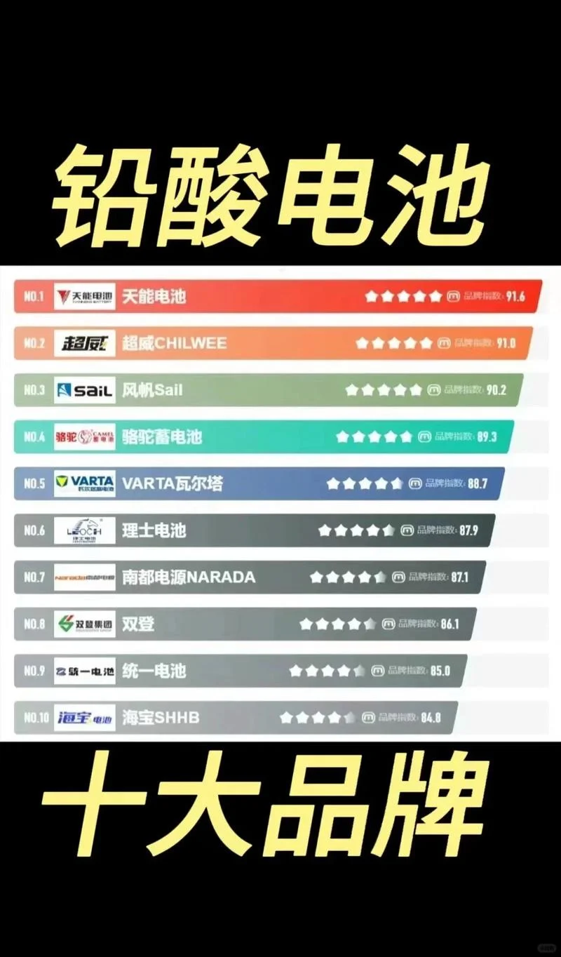 中国电池十大品牌_2