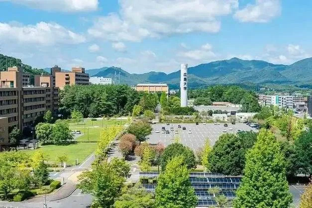 日本壳松大学_2