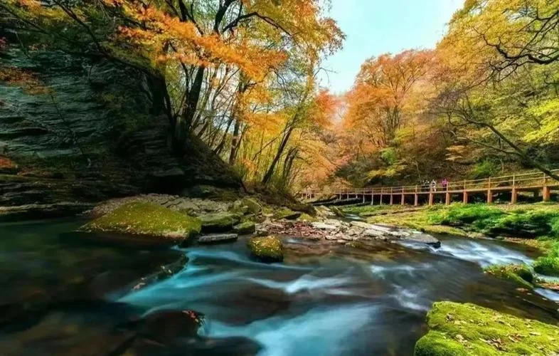陕西秋天去哪旅游景点_2