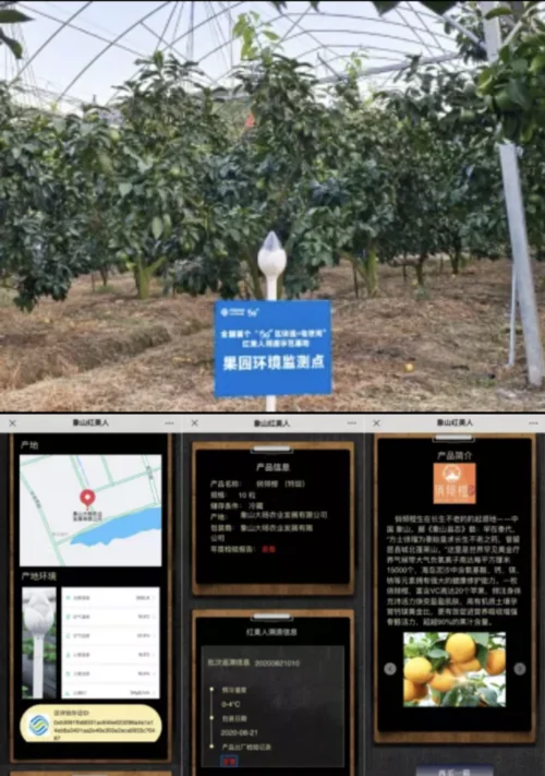 区块链和5g读后感_1