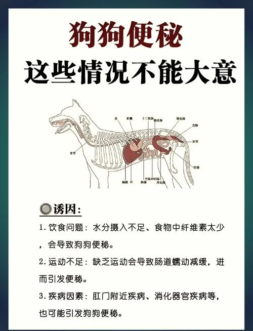 小狗腹泻怎么办-小狗腹泻怎么办