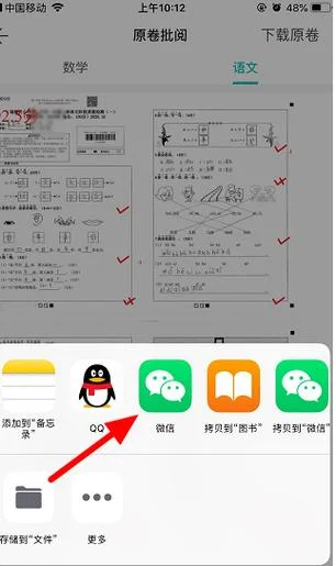 智学网怎么查成绩排名_2
