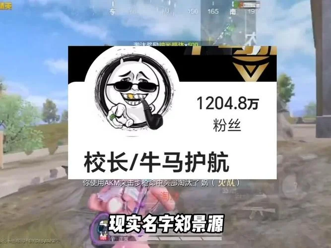 中国版吃鸡叫什么名字_1