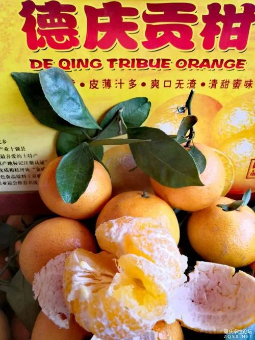 肇庆到德庆多少公里_2