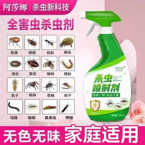 梦见床上有虫子在爬_1