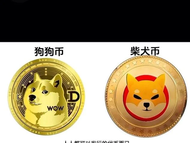 doge币历史最高价币种-Doge币历史最高价