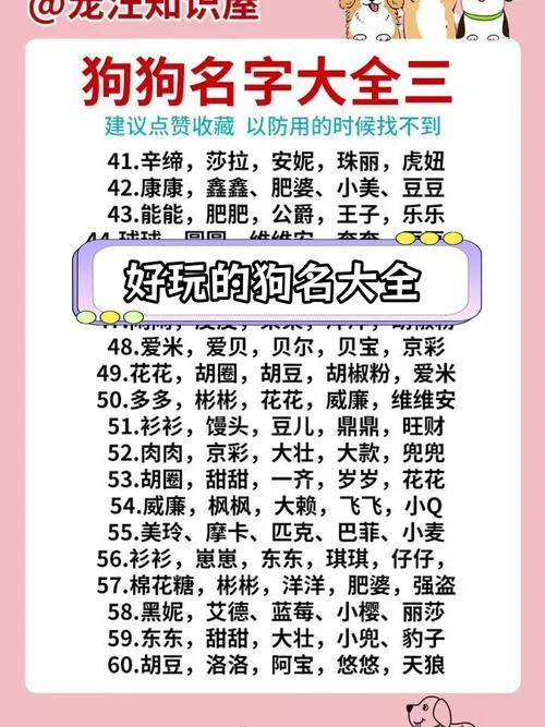 小狗起名大全 洋气_1
