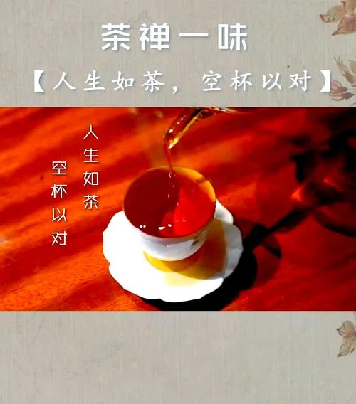 空杯心态的感悟和见解_2