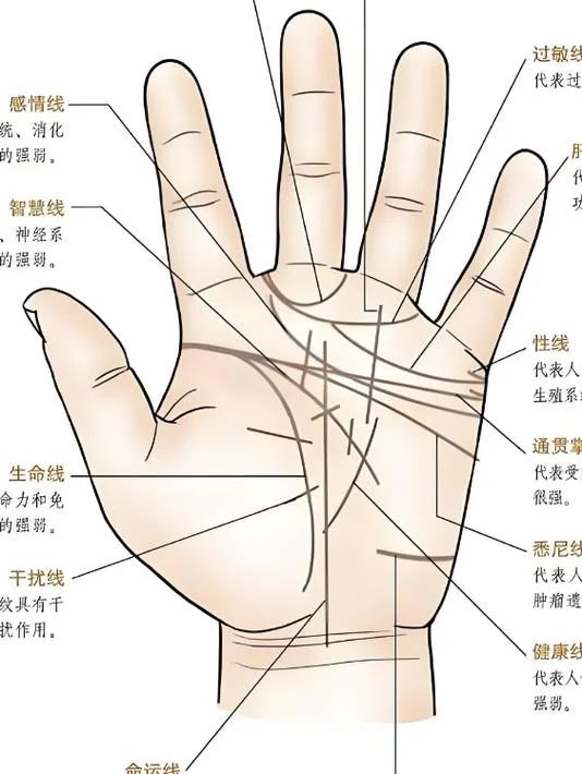 看手相井字纹-井字纹手相分析