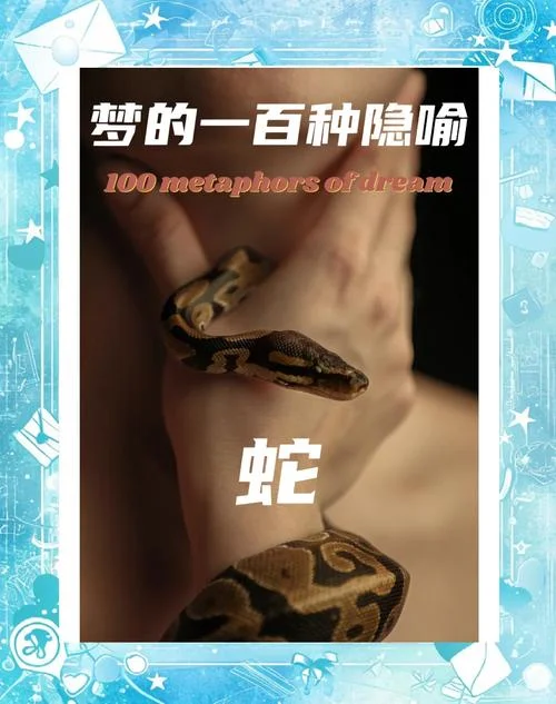 梦到路上好多蛇_2