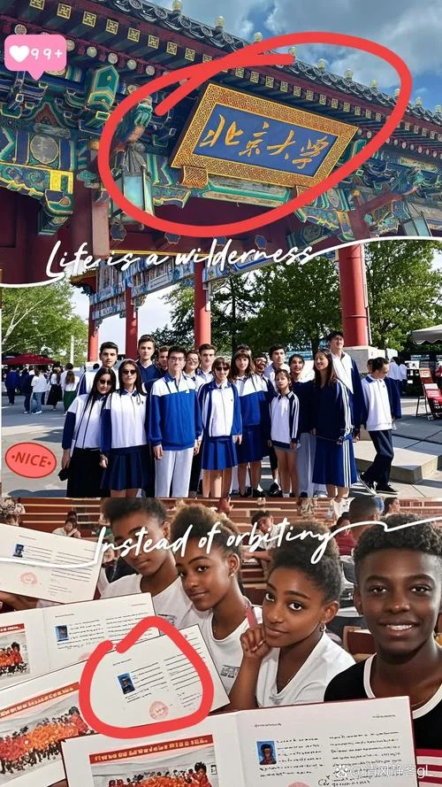 中国大学留学生_2