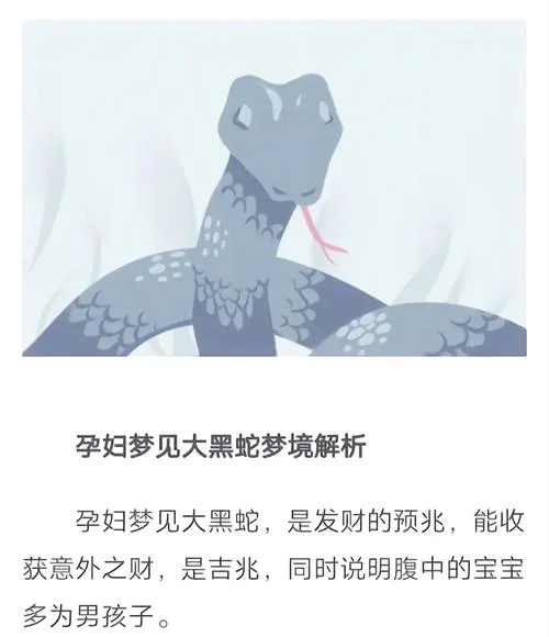 梦见一条大蛇进家里-家进大蛇梦