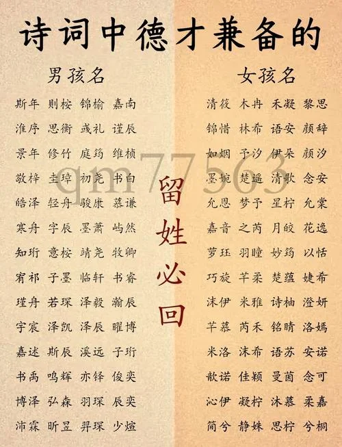 双胞胎起名成语_1