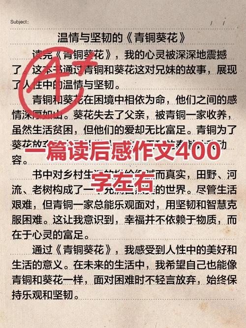 思想感悟400字_1