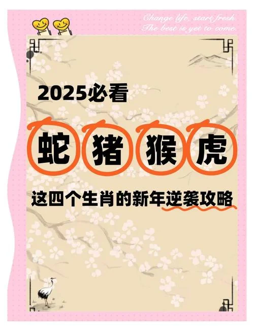 澳彩全年历史图库_1