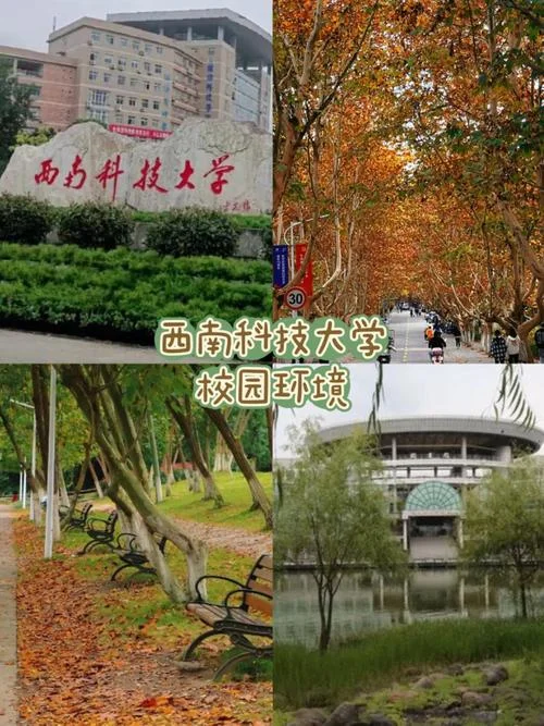 西南科技大学官网_2